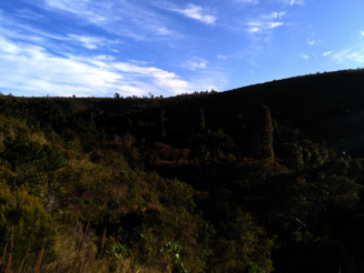 Letzte Reste noch intakten Hochlandregenwaldes wachsen in Ankafobe auf Madagaskar in einer Senke