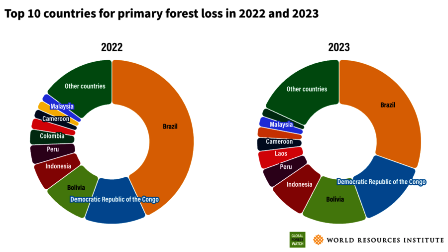 Grafik über die 10 Länder mit dem größten Verlust an tropischen Primärwäldern in den Jahren 2022 und 2023