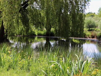 Blick in einen Auenlandschaft