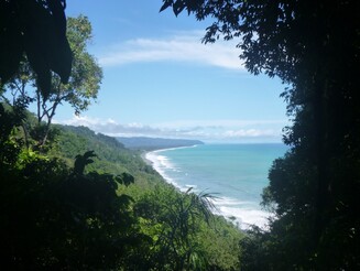 Blick aus dem Regenwald aufs Meer und Küste in Costa Rica