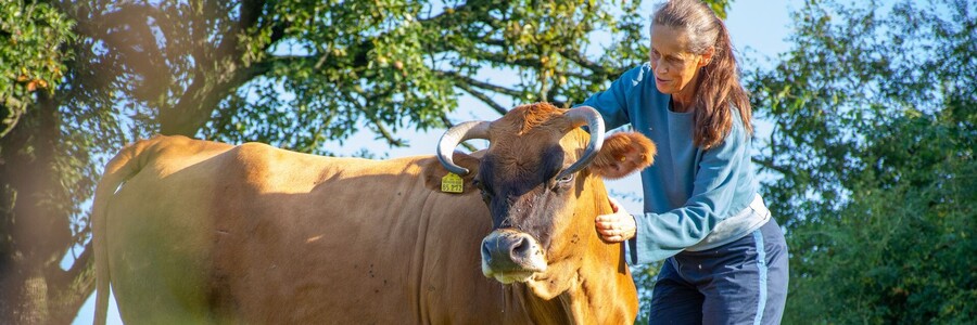 Frau streichelt Kuh der nahezu ausgestorbenen Rasse Murnau Werdenfelser