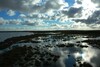 Verzweigtes Prielsystem der Insel Kirr in der Ostsee