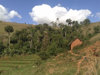 Ein letztes kleines Stück Hochlandregenwald auf Madagaskar umgeben von abgeholzter Fläche