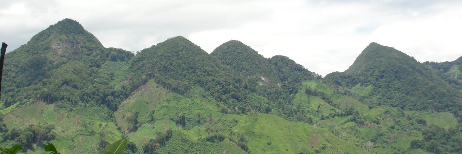 Madagaskar Mit Regenwald grün bewachsene Berge erstrecken sich in den Himmel