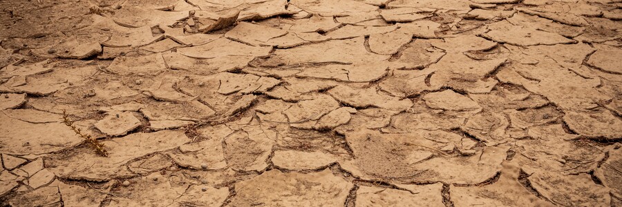 Das Bild zeigt einen ausgetrocknete, dürren Boden.