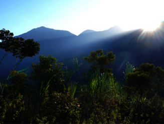 Morgensonne über noch intakter Natur in der Sierra Nevada de Santa Marta