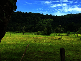 Abgeholzte Weidefläche vor dem Hintergrund von dicht wachsendem Regenwald in Costa Rica
