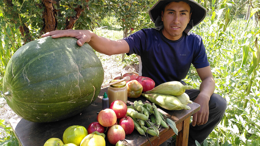 Ein junger Mann mit verschiedenen geernteten Früchten.