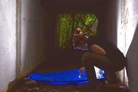 Samen sammeln Samen sammeln