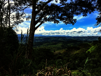 Blick vom Regenwalddickicht aus auf noch bewaldete Hügelketten in Costa Rica
