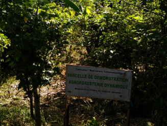 Schild steht vor einer Dynamischen Agroforstparzelle der Naturschutzorganisation Naturefund auf Madagaskar