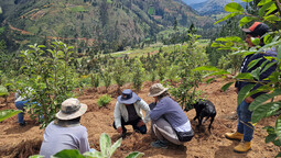 Mehrere Personen schauen sich wachsende Pflanzen in Bolivien an.
