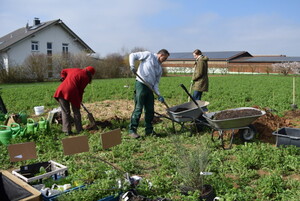 Constuir una parcela