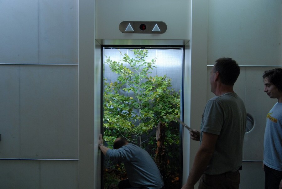 Wald im Fahrstuhl Foto: Gehrisch + Krack