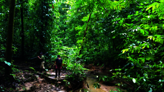Mehrere Personen stehen im Regenwald im Corcovado Nationalpark in Costa Rica