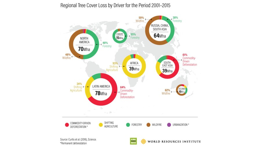 Treiber der weltweiten Entwaldung nach Kontinenten von 2001 bis 2015